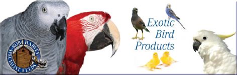 Rob Harvey Specialist Feeds